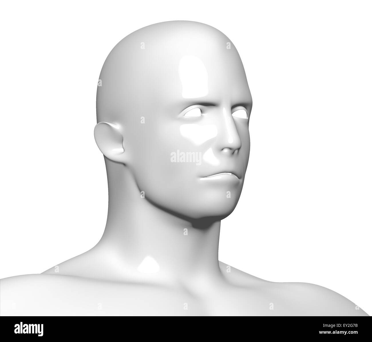 Faccia anatomia della testa Foto Stock