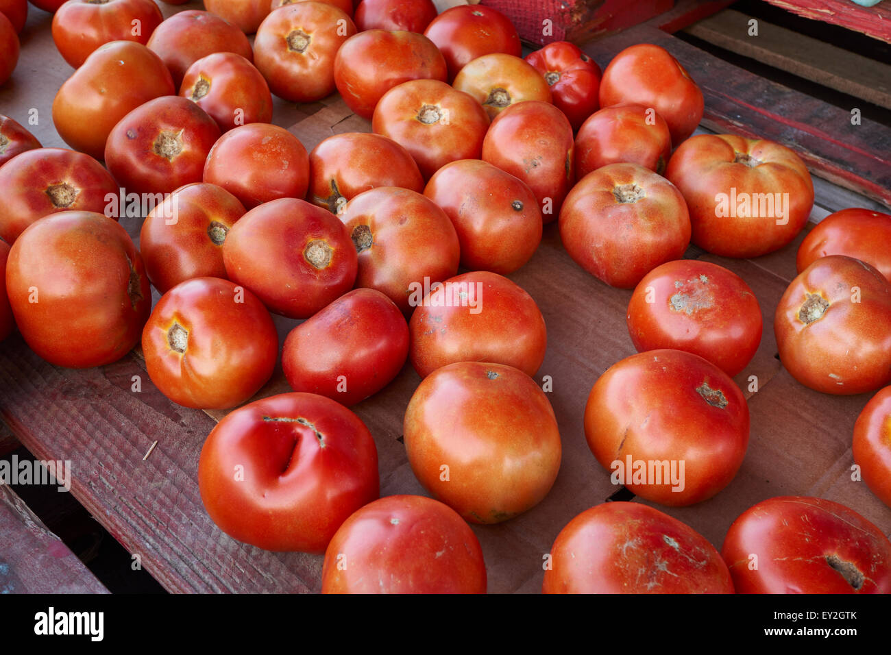 Strada del fornitore di pomodoro, Lancaster County, Pennsylvania, STATI UNITI D'AMERICA Foto Stock