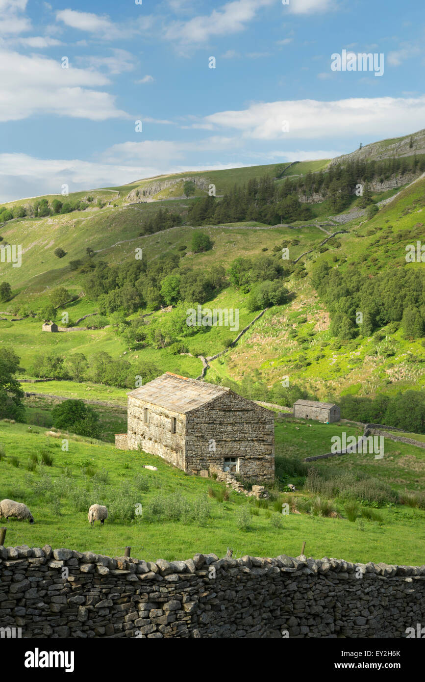 Dales fienili, Keld in Swaledale, Giugno 2015 Foto Stock