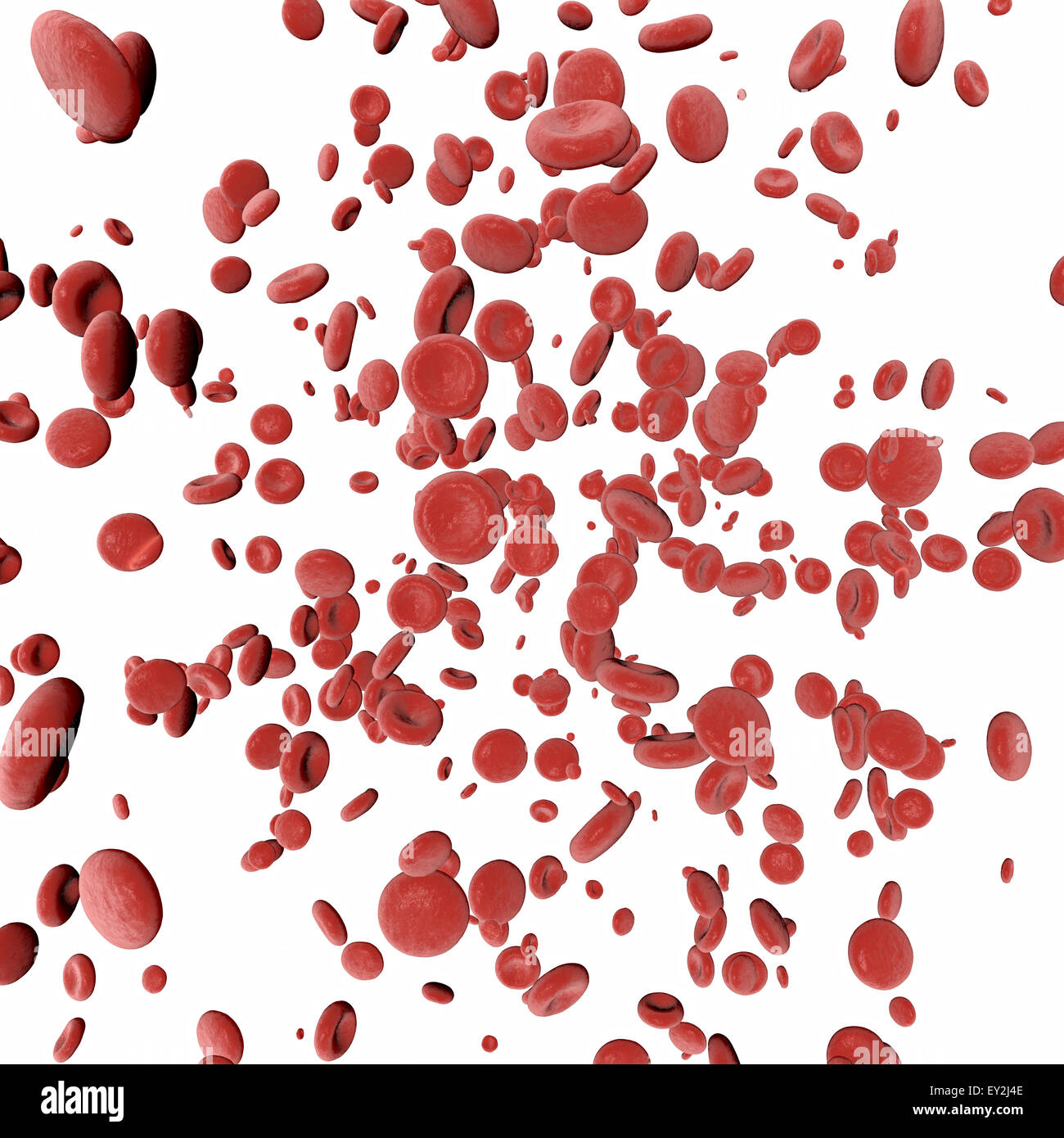 3d le cellule del sangue su sfondo bianco Foto Stock