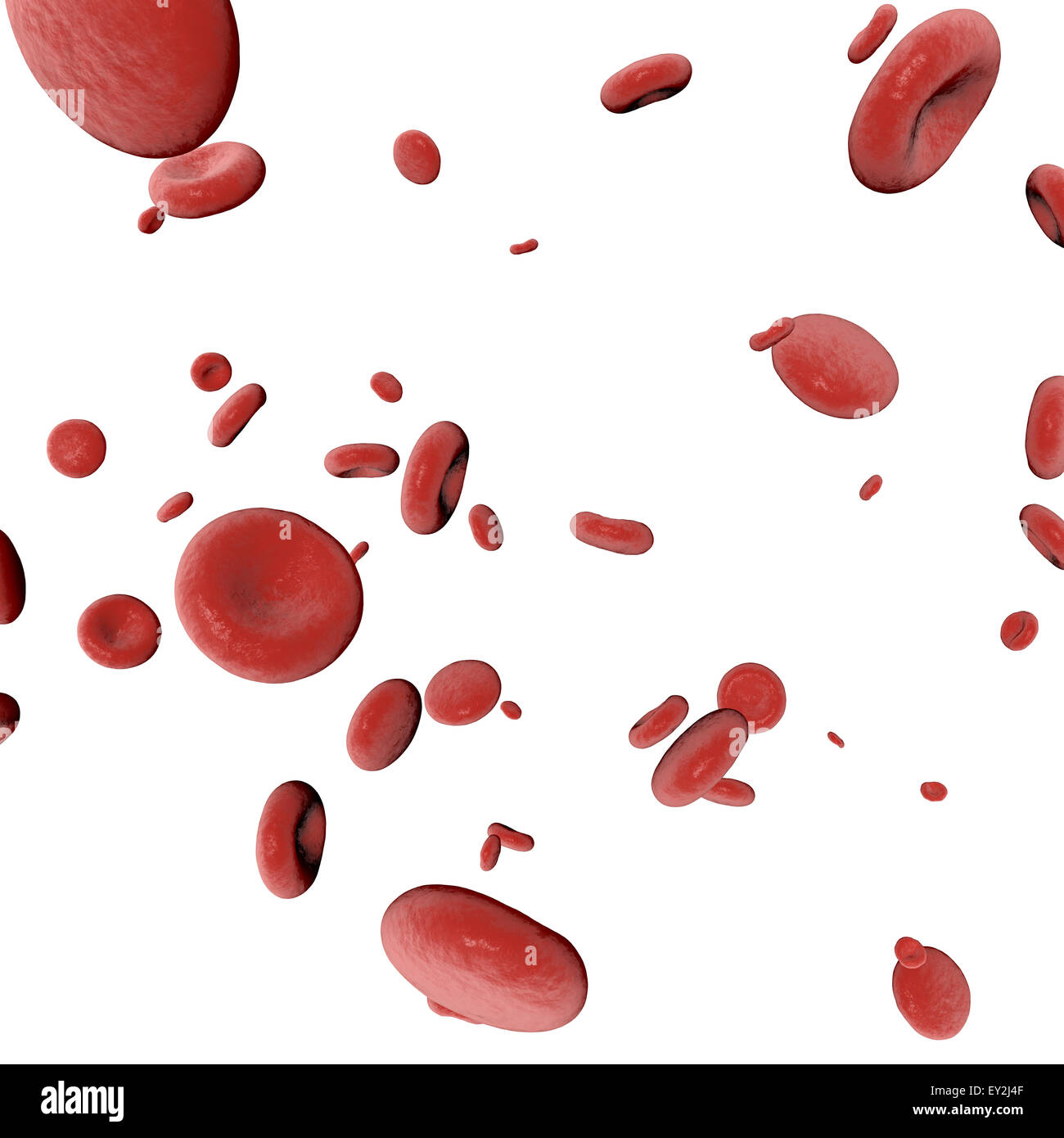 3d le cellule del sangue su sfondo bianco Foto Stock