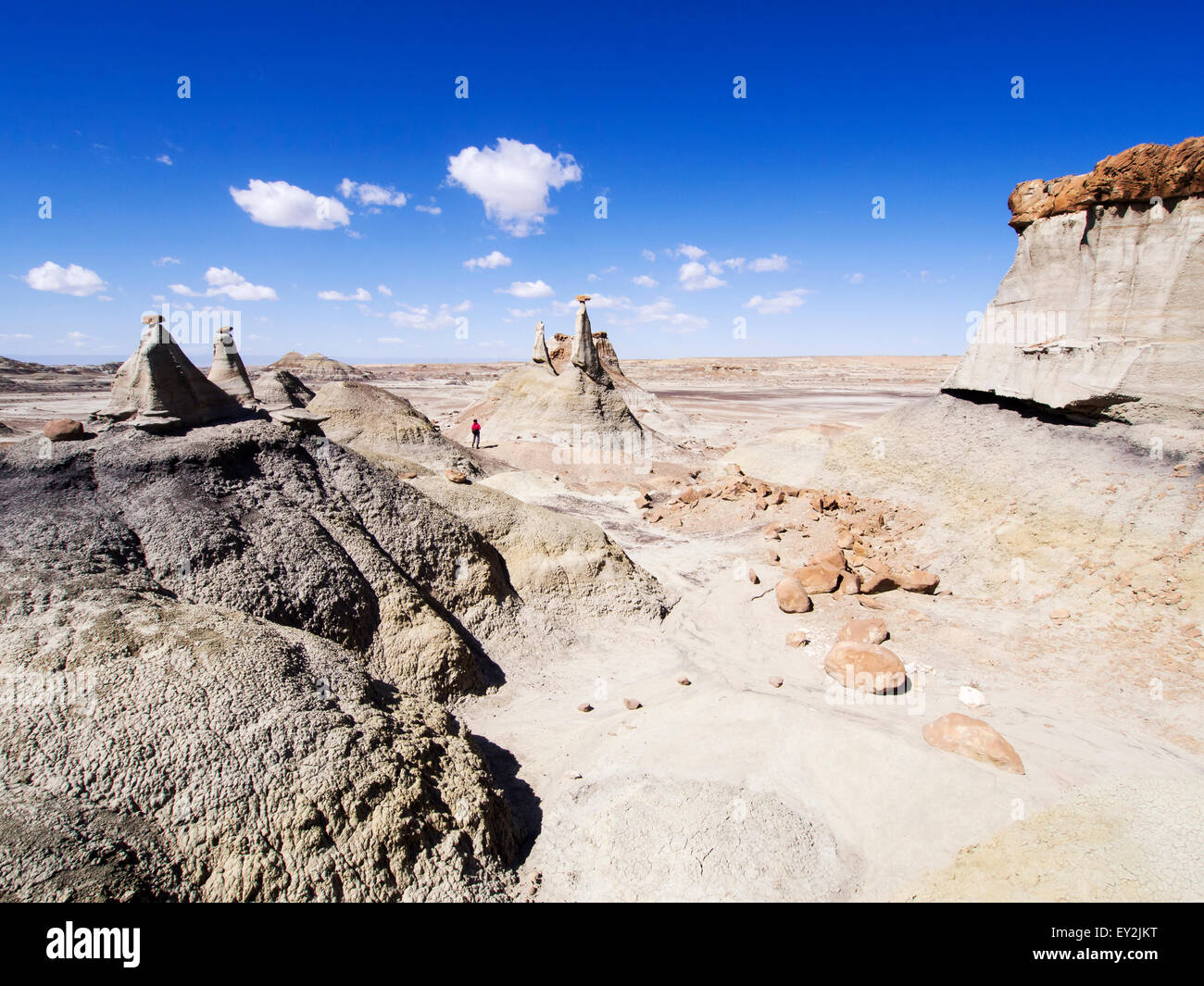 Bisti Badlands del New Mexico - formazione di roccia Foto Stock