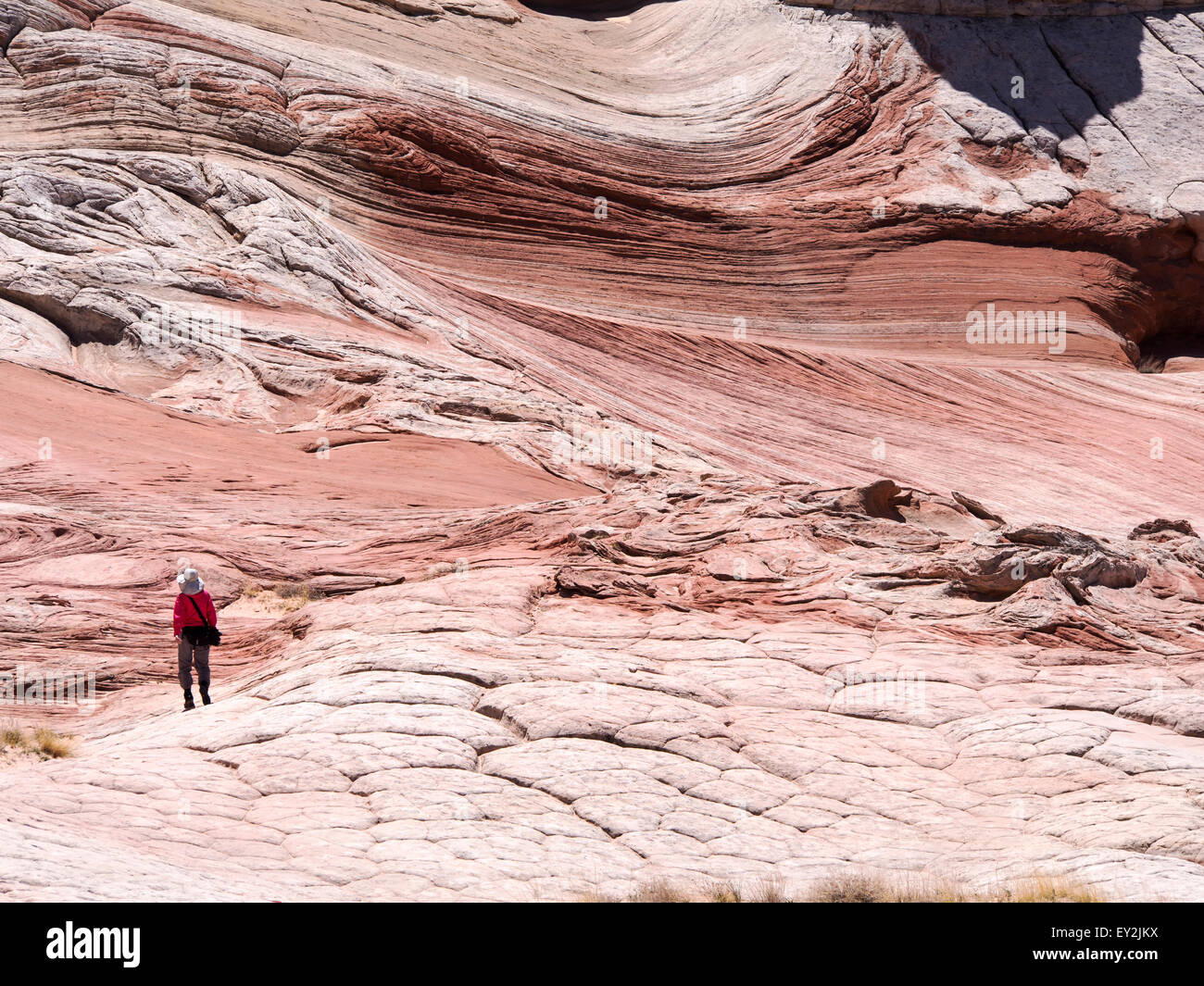 Coyote Buttes erosione in Arizona Foto Stock