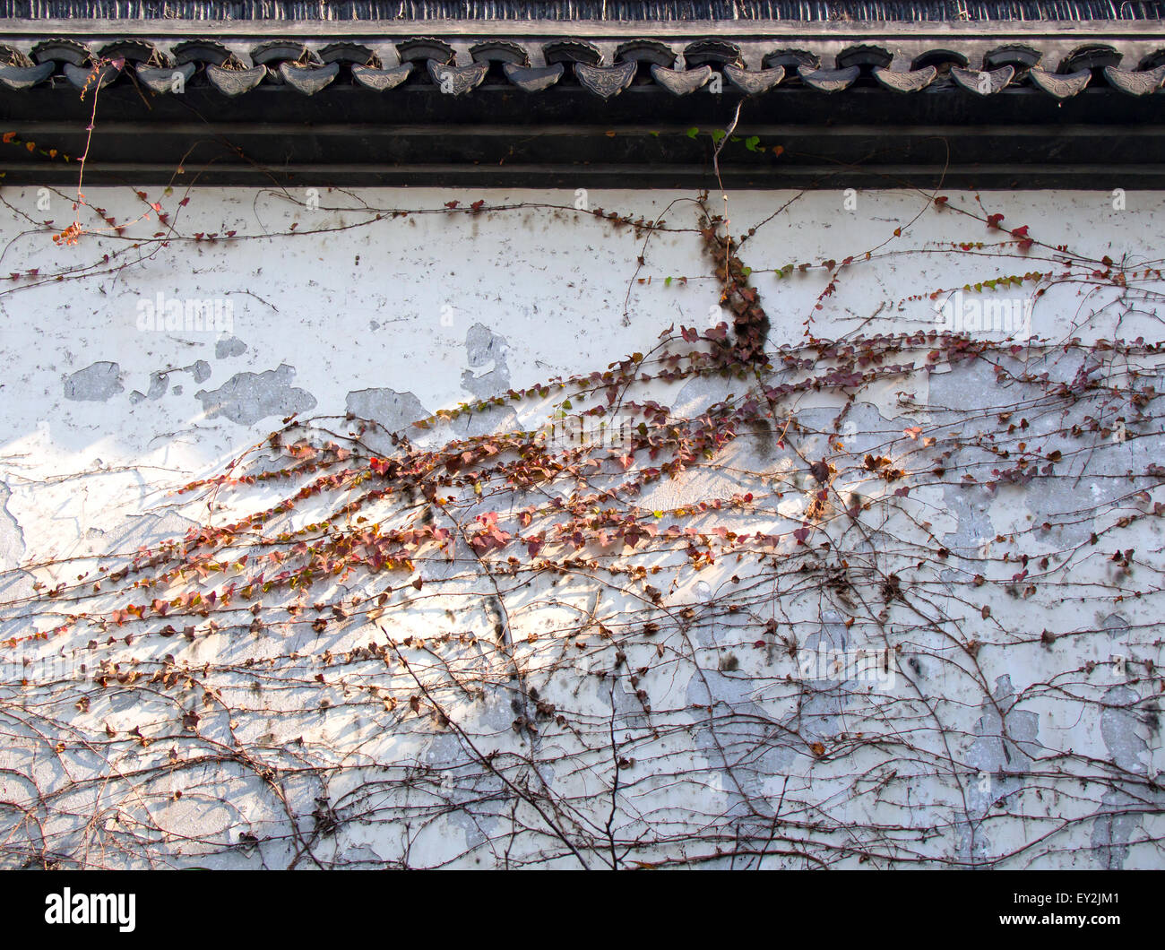 Giardino Cinese - Parete Closeup (Autunno) - remoto villaggio (nome sconosciuto) Foto Stock
