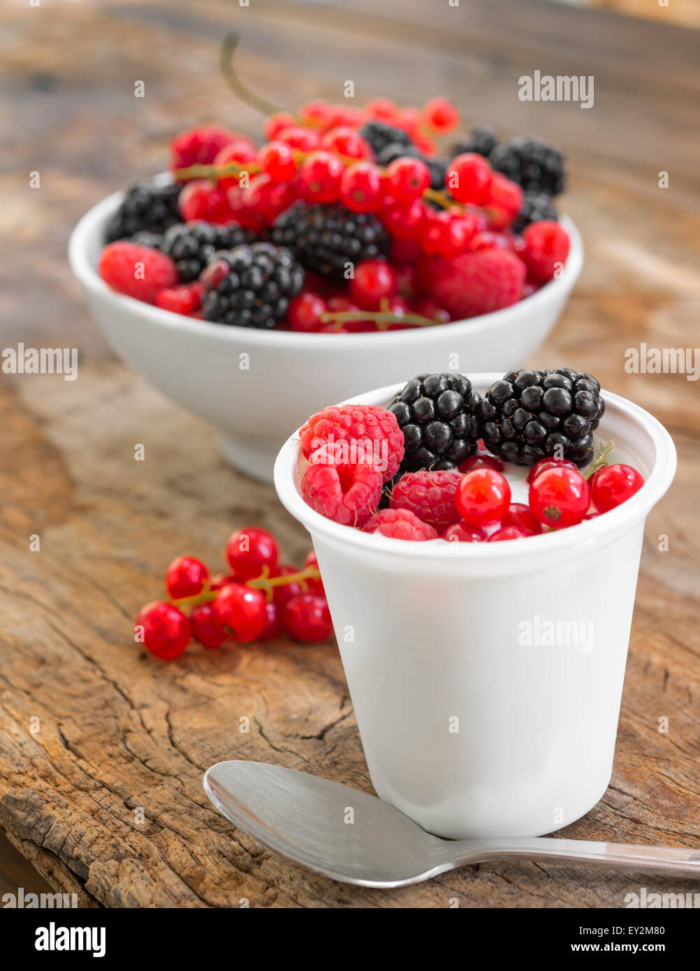 A basso tenore di grassi di yogurt bianco cremoso bacche selvatiche sapore Foto Stock