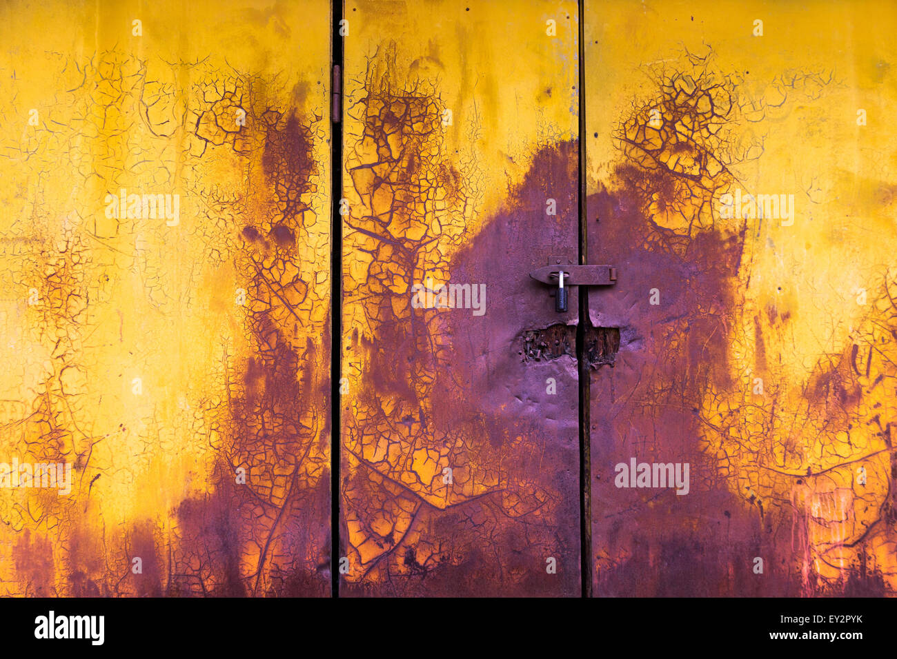 La vecchia vernice anta orizzontale sfondo giallo e viola i colori con il crack e gratta e vinci Foto Stock