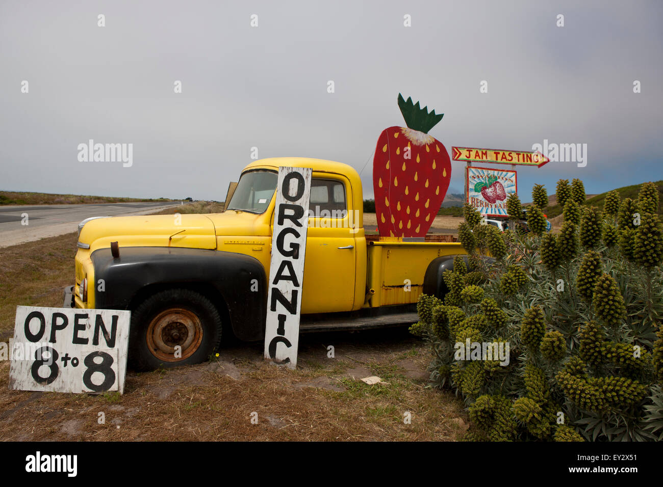 Segno e colore giallo carrello per Swanton Berry Farm, Davenport, California, Stati Uniti d'America Foto Stock