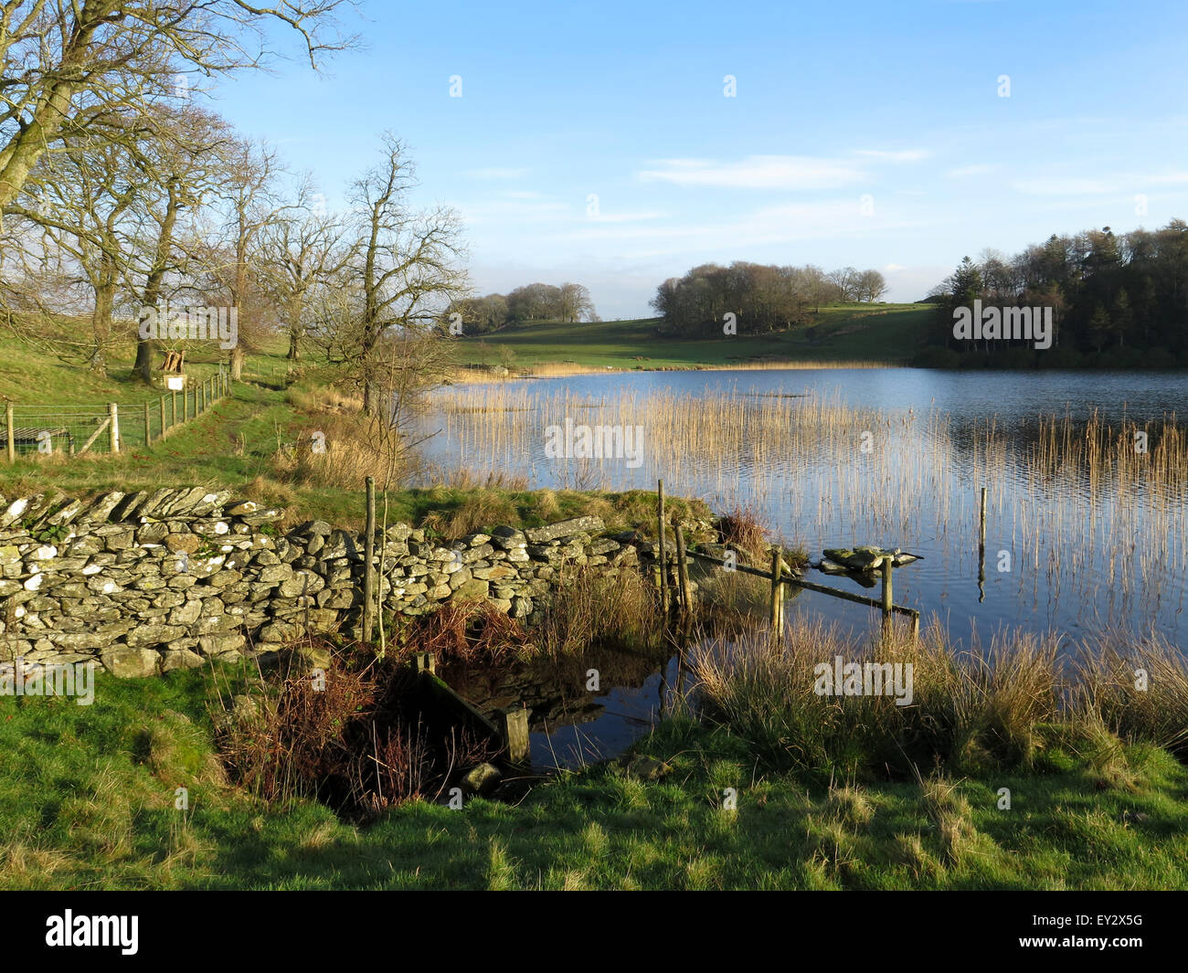 Il lago e il lago a Bigland Hall, Nr Ulverston, Lake District inglese. Regno Unito Foto Stock