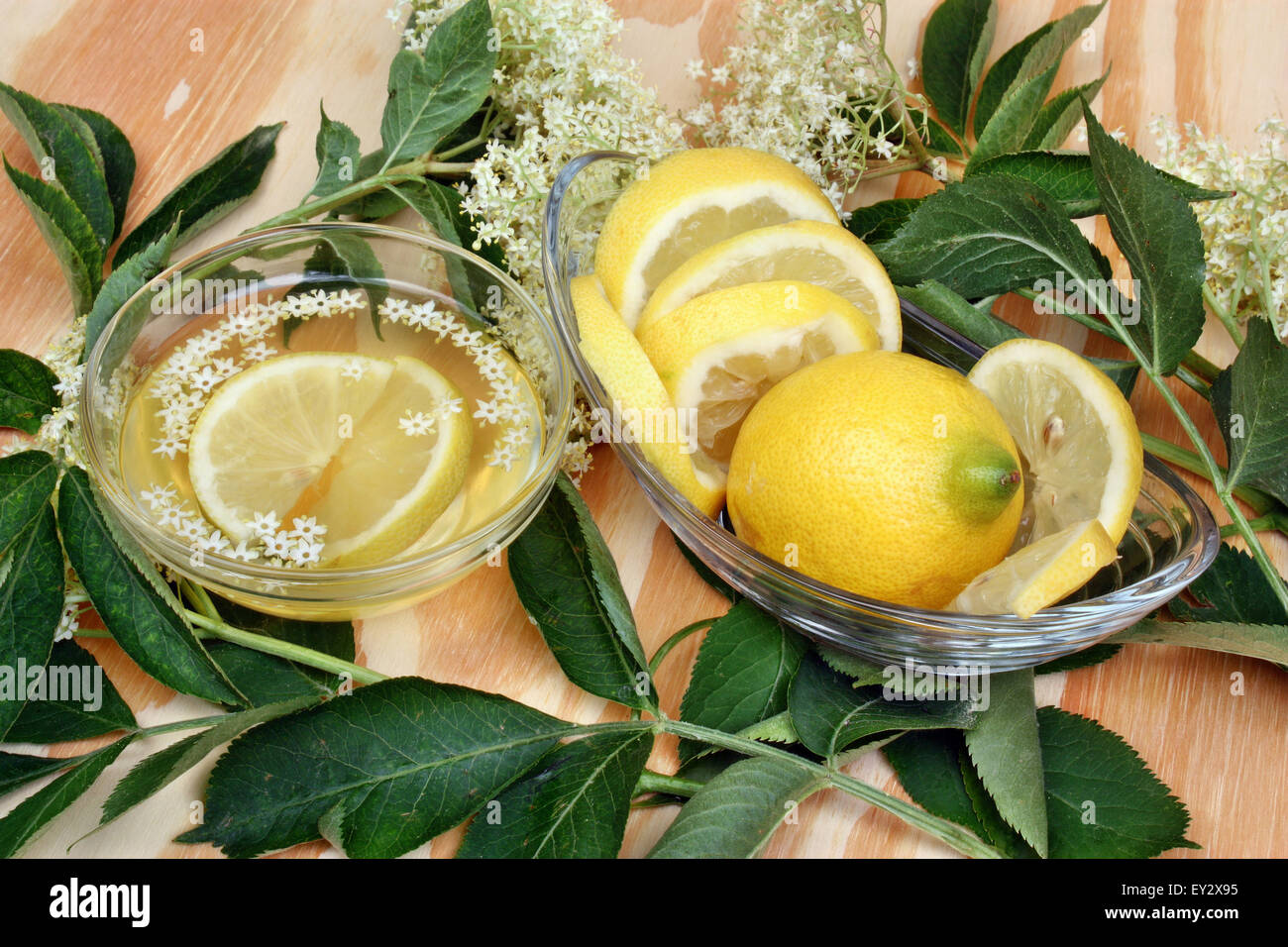 Il sambuco limonata fresca con limone e sbocciano i fiori di sambuco Foto Stock