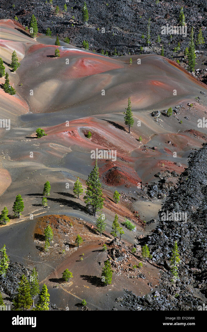 Dune verniciato con alberi di pino, Parco nazionale vulcanico di Lassen, California, Stati Uniti d'America Foto Stock