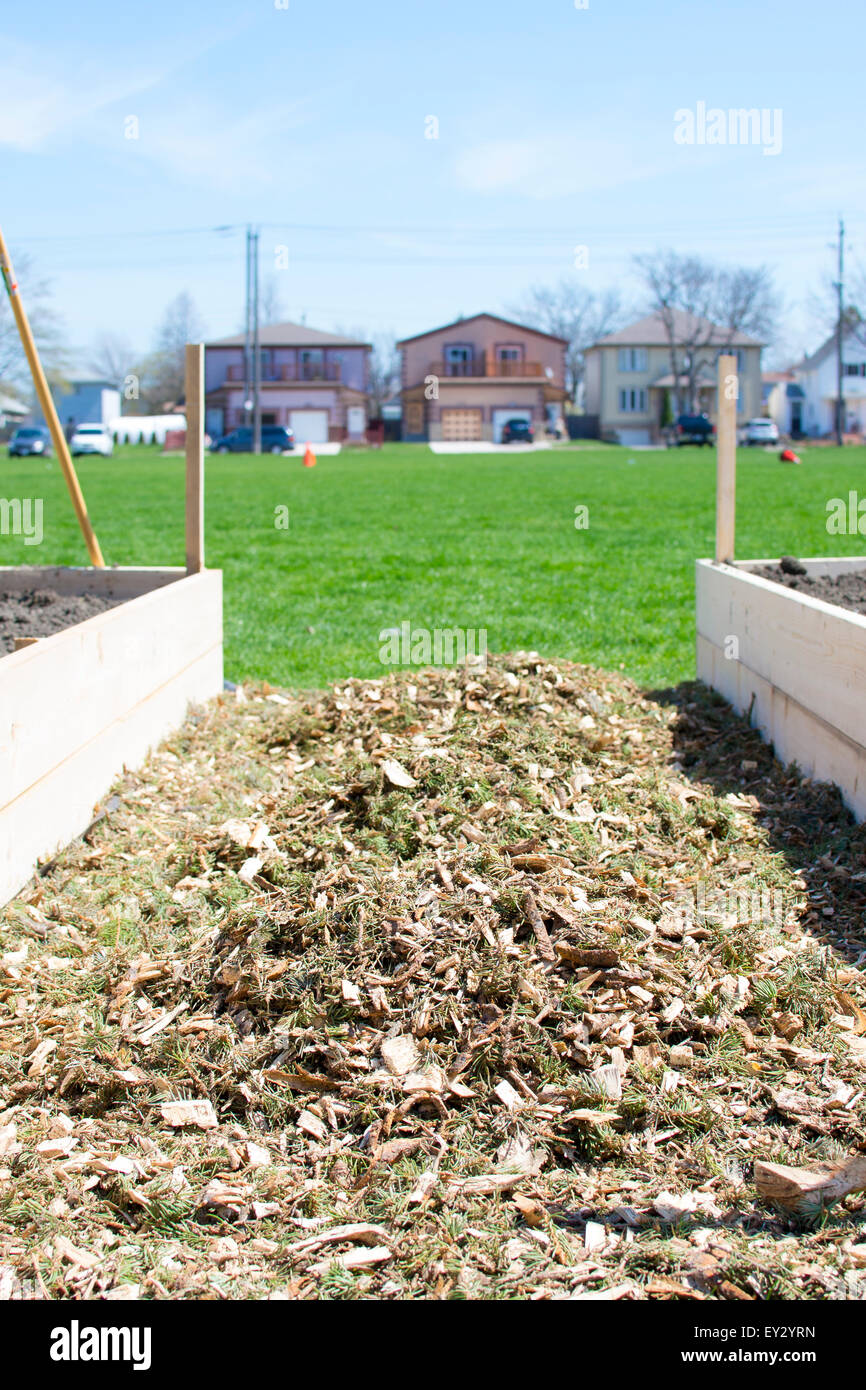 Orticoltura urbana - Una comunità giardino vegetale essendo costruito Foto Stock
