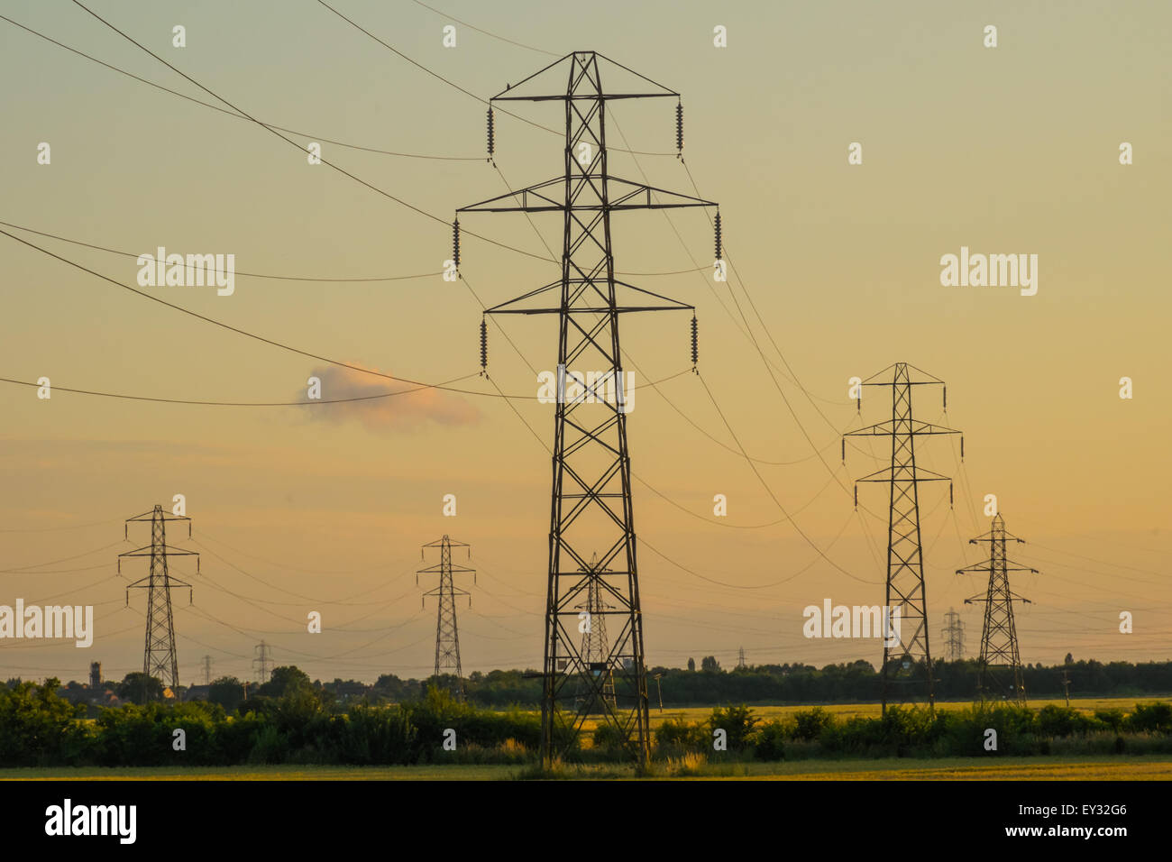 Gruppo di tralicci di energia elettrica in un campo in prima serata Foto Stock