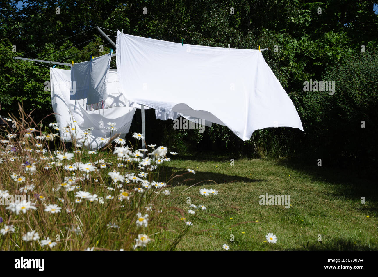 Appena lavate fogli bianchi di essiccazione a uno stendibiancheria in un giardino verde con margherite Foto Stock