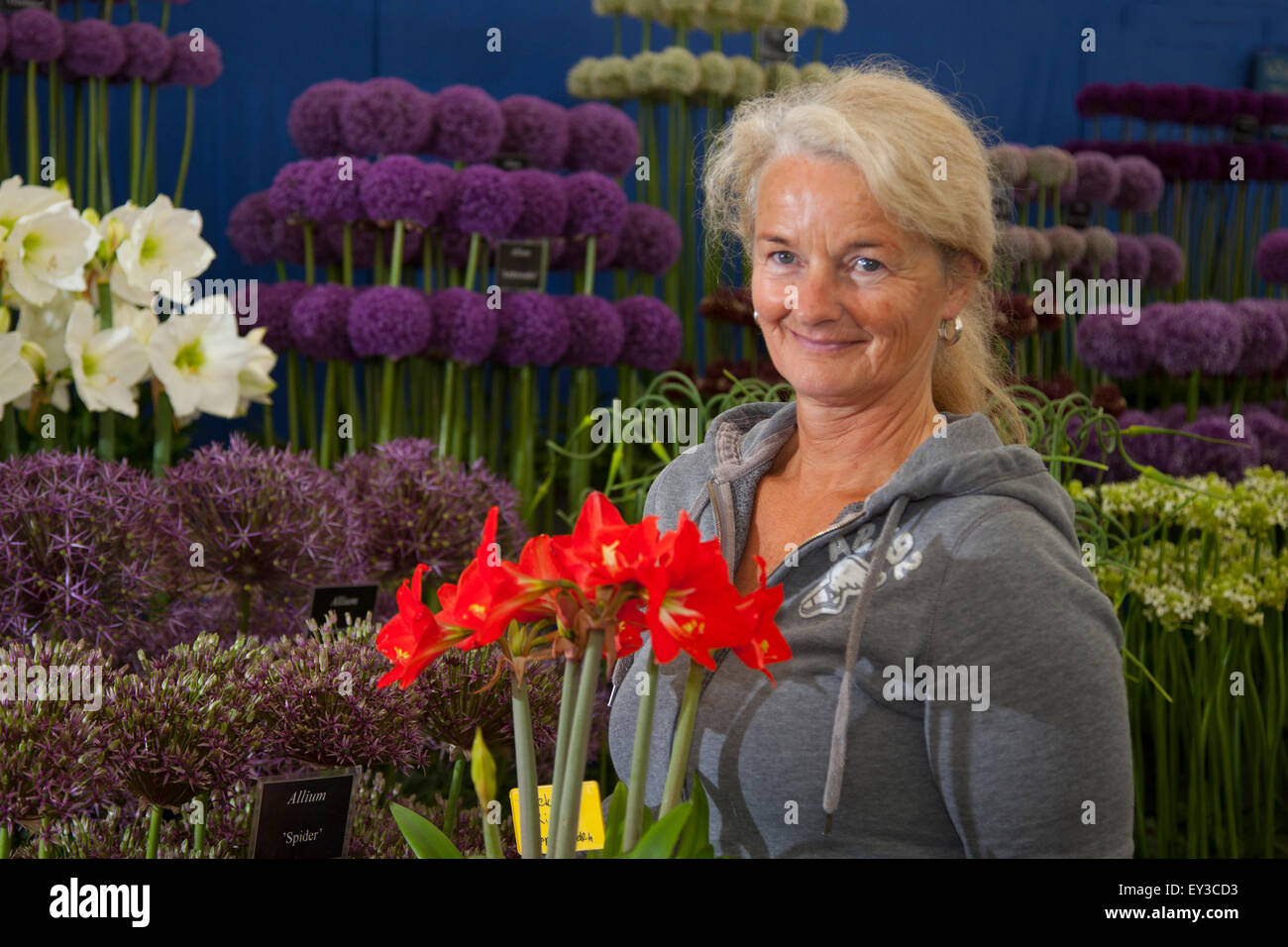 Tatton Park Flower Show, Cheshire, Regno Unito 21 luglio, 2015. Karen Warmenhoven da Holland con il suo display del Dutch Amaryllis e Allium i bulbi della RHS Flower Show. Foto Stock