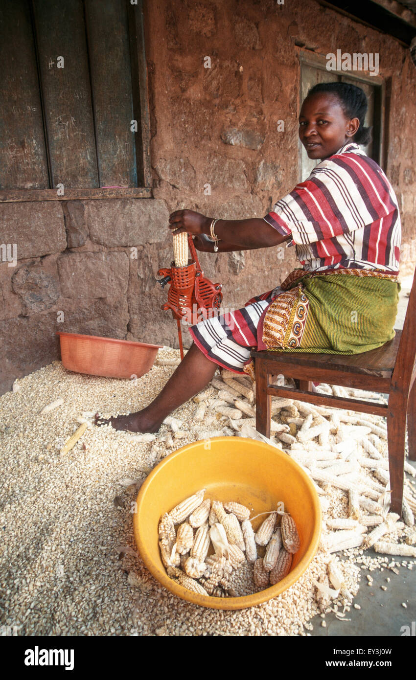 Una donna utilizza un semplice sheller mais per rimuovere il kernel da cob, Himo Kilimanjaro Regione, Tanzania Foto Stock