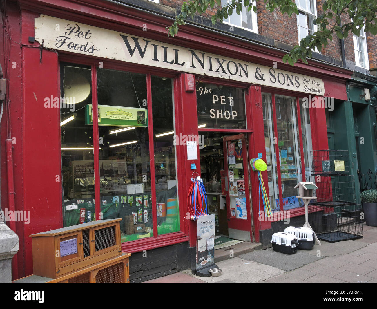 Sarà Nixon e figli,tradizionale Carlisle pet shop,Cumbria,l'Inghilterra,UK Foto Stock