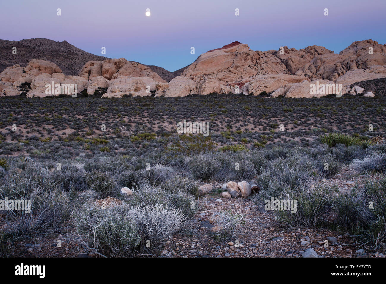 La luna sorge sulle montagne del Red Rock Canyon in Nevada. Foto Stock