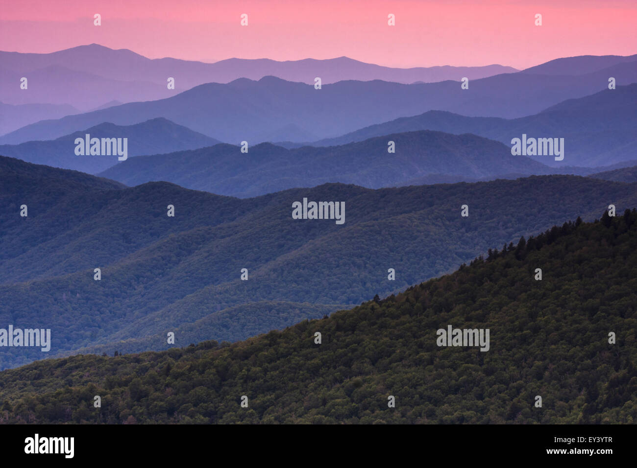 Il Great Smoky Mountains in Tennessee al crepuscolo. Foto Stock