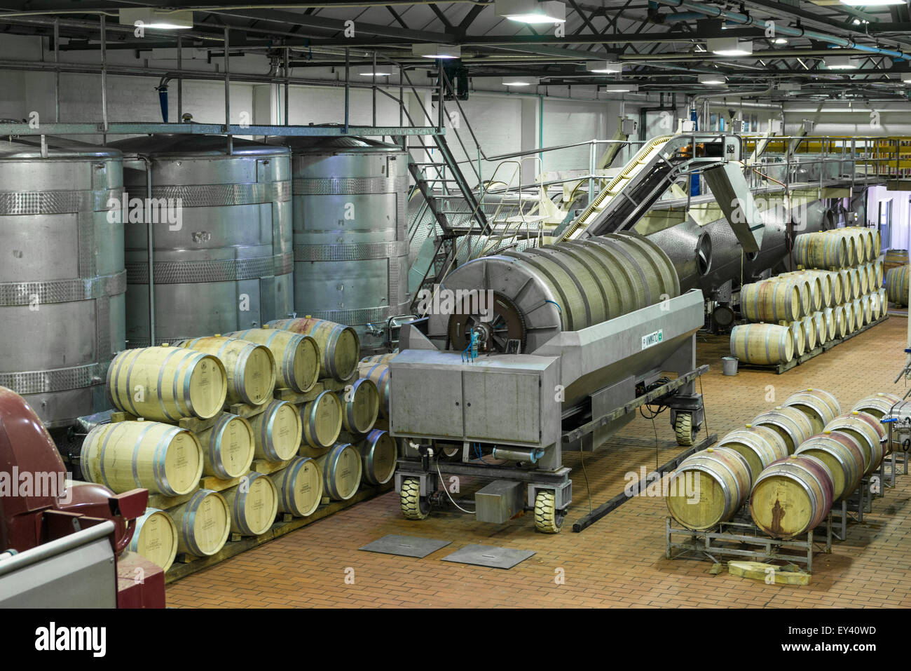 La vinificazione impianti e botti di rovere a Groot Constantia Wine Estate, Città del Capo, Sud Africa Foto Stock