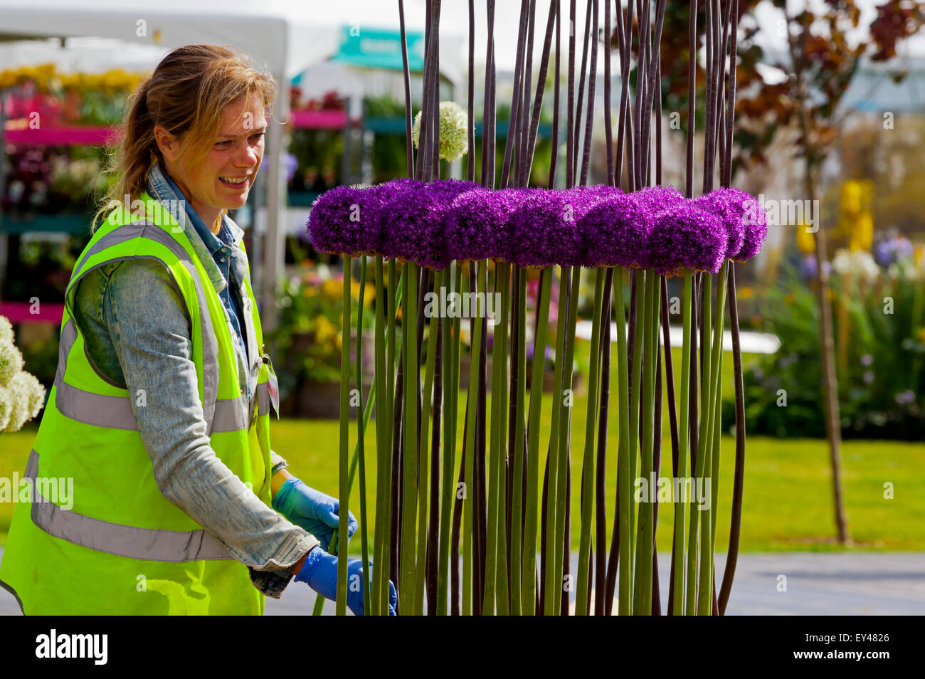 Tatton Park, Cheshire, Regno Unito. 21 Luglio, 2015. La RHS Flower Show a Tatton Park si apre. Espositore mettendo i tocchi finali a giardino in mostra Foto Stock