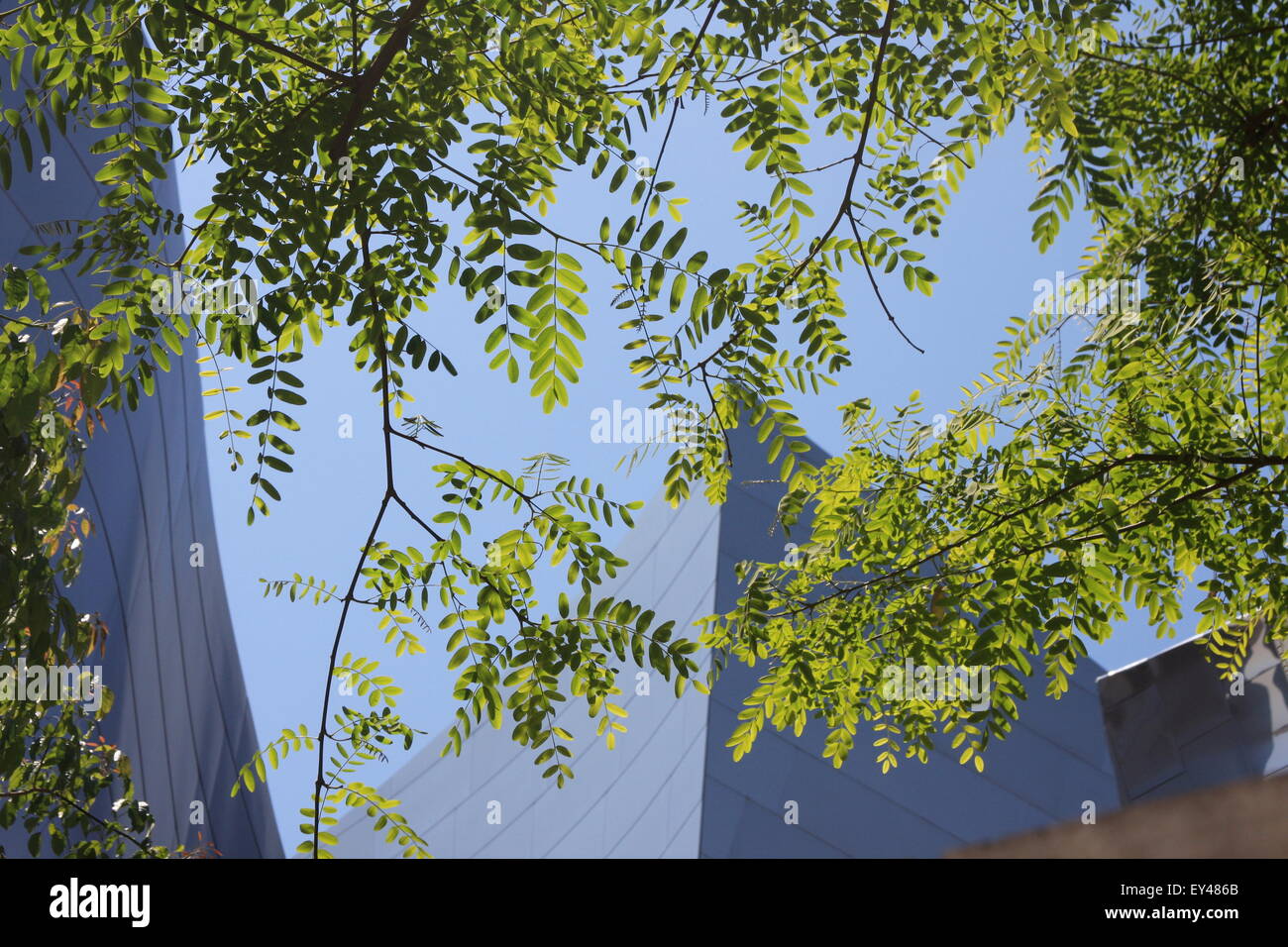 Walt Disney Concert Hall di Los Angeles, la California del Sud, STATI UNITI D'AMERICA Foto Stock