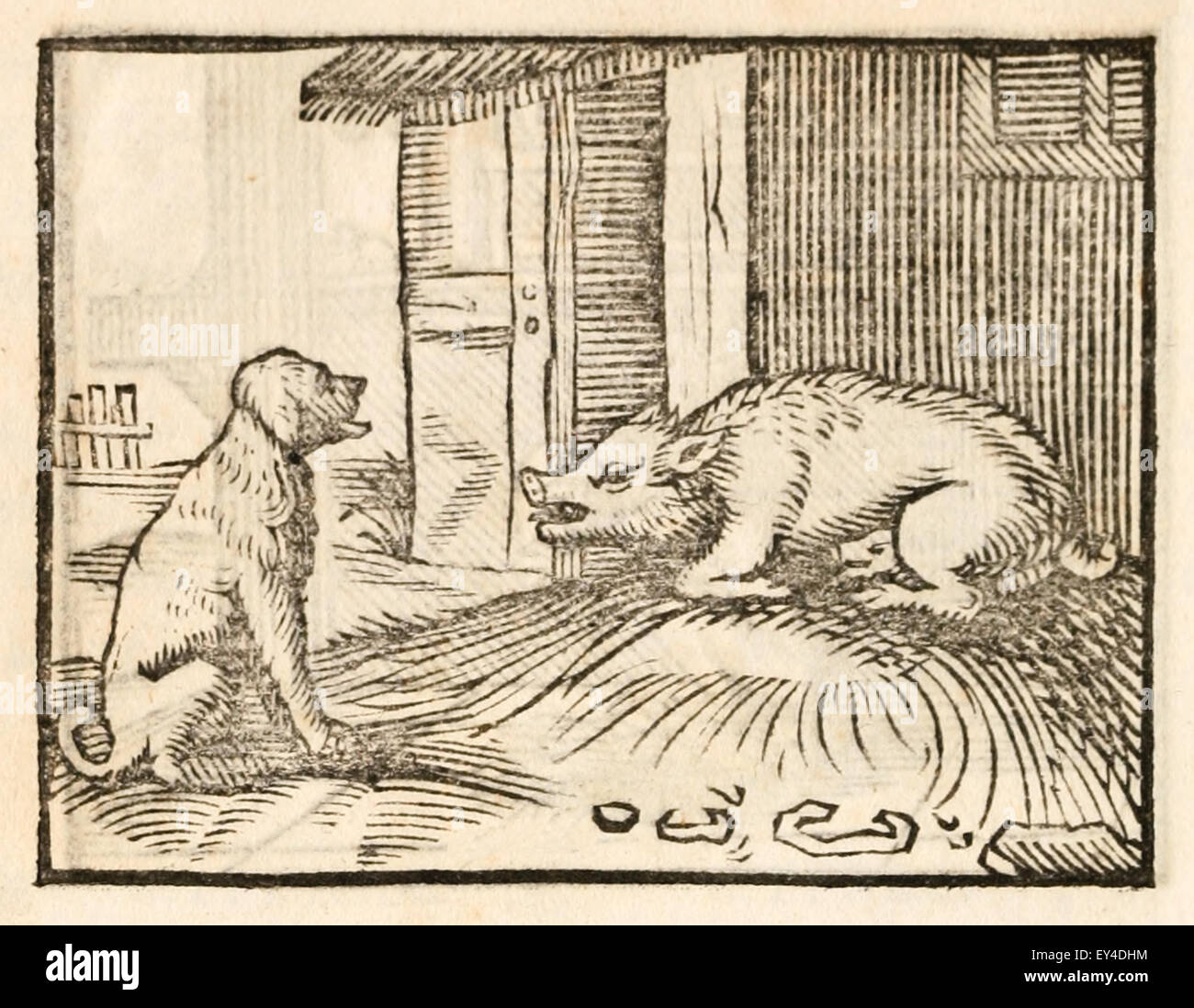 "Una scrofa e un cane" favola di Esopo (circa 600BC). Una scrofa e cane ha sostenuto. Il SOW giurò da Venere avrebbe sventrare il cane se egli non mend modi. Cane detto alcuni mangiato carne di maiale; seminare detto nessuno mangiato cane. Quando non si riesce a sostenere, confondere.xvii secolo stampa xilografia illustrante Esopo favole. Vedere la descrizione per maggiori informazioni. Foto Stock