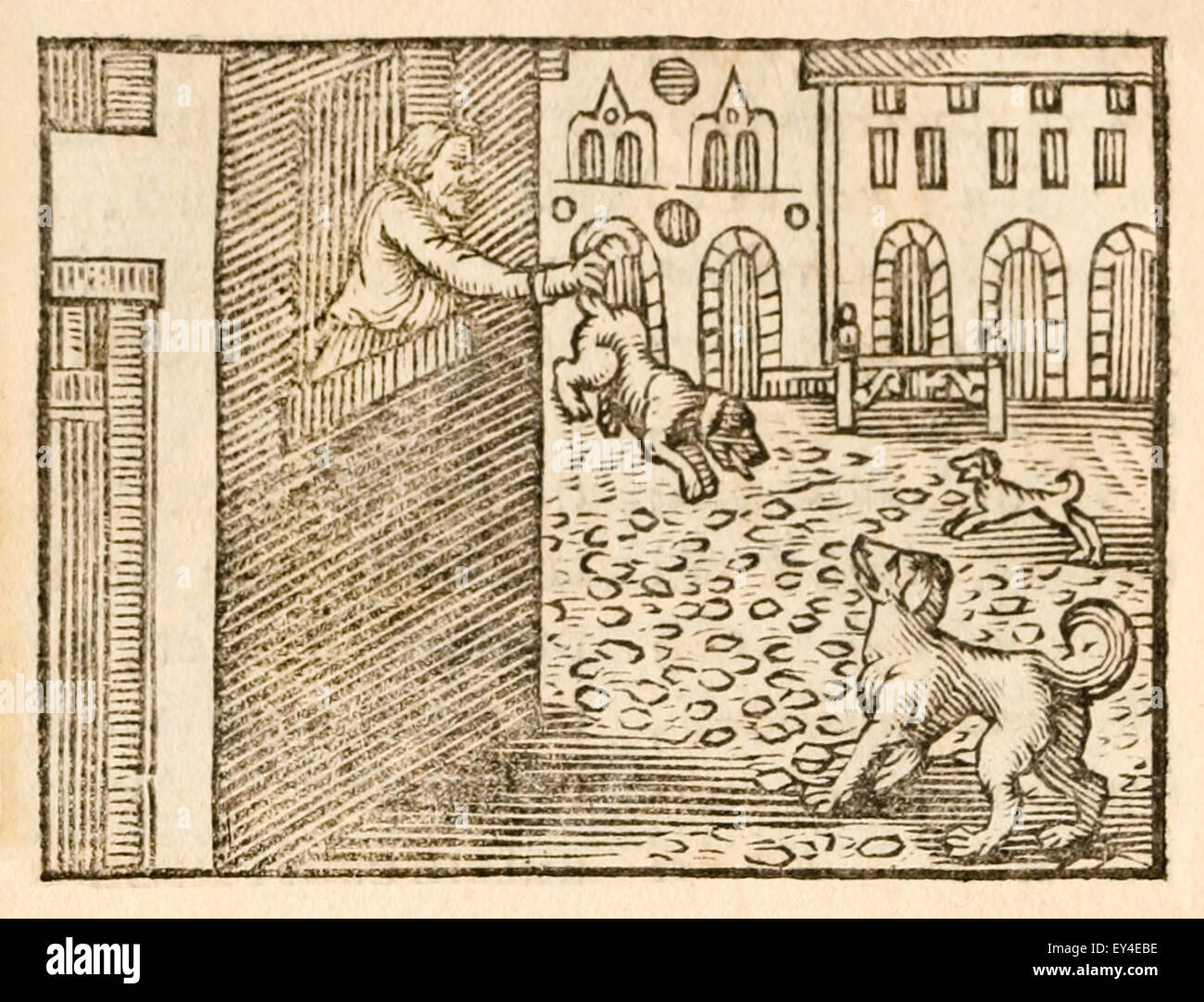 " Il cane e il cuoco" favola di Esopo (circa 600BC). Un cane ha
