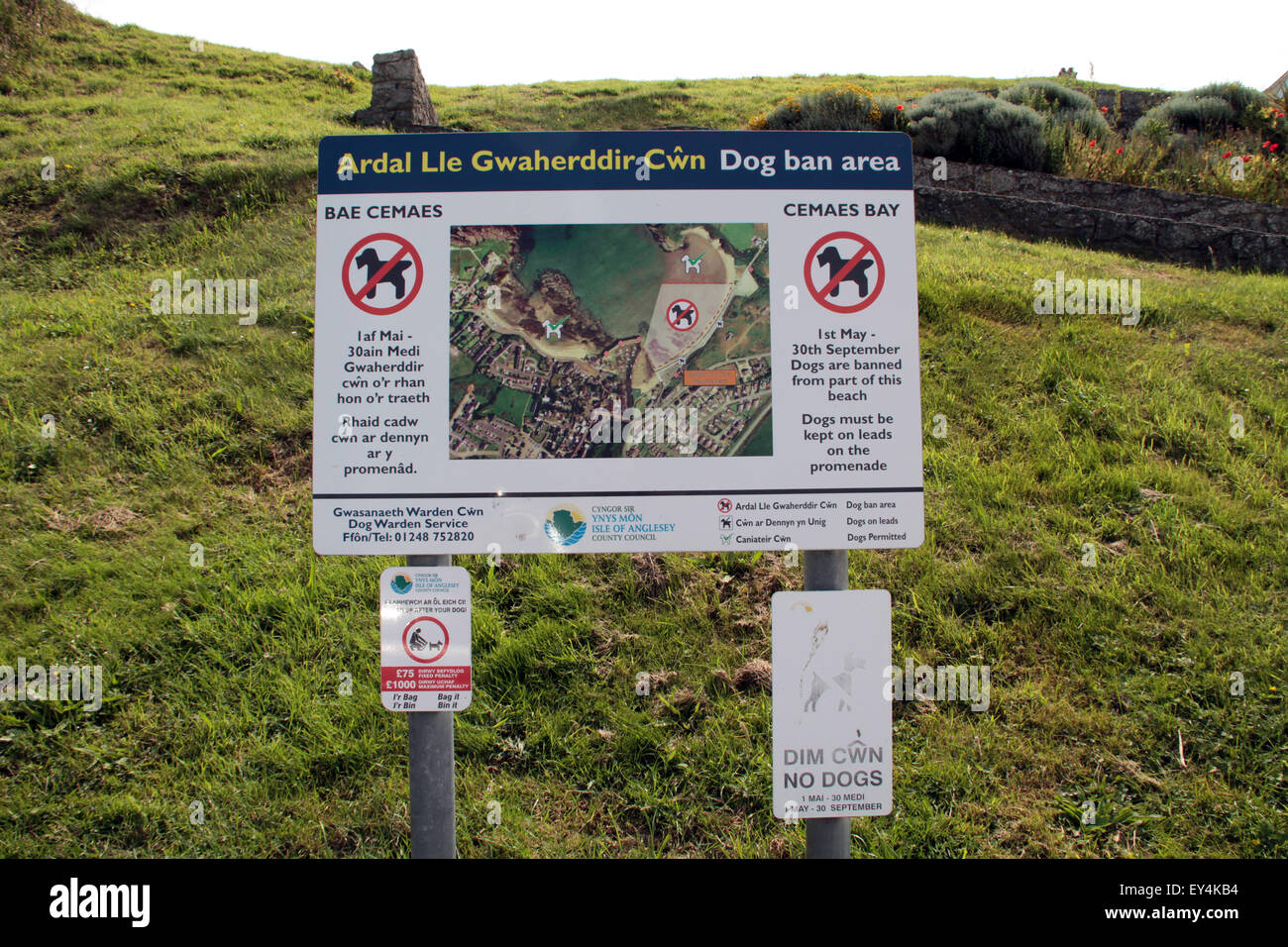 Sign in gallese e inglese spiegando dove le persone possono raggiungere a piedi i cani sulla spiaggia a Cemaes Anglesey North Wales Foto Stock