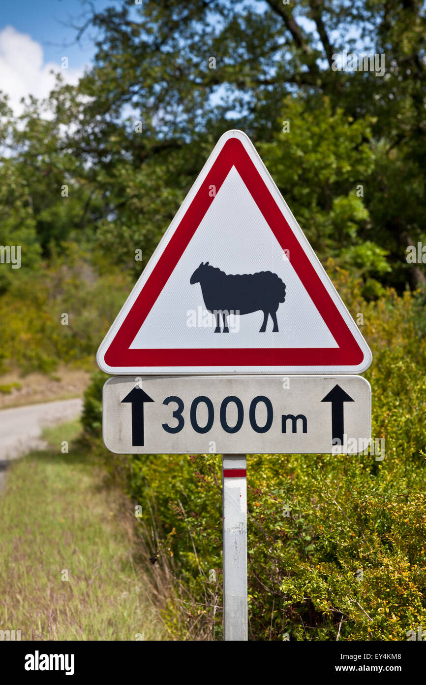 Traffico triangolare segno di avvertimento di pecora su strada su una strada rurale sullo sfondo Foto Stock