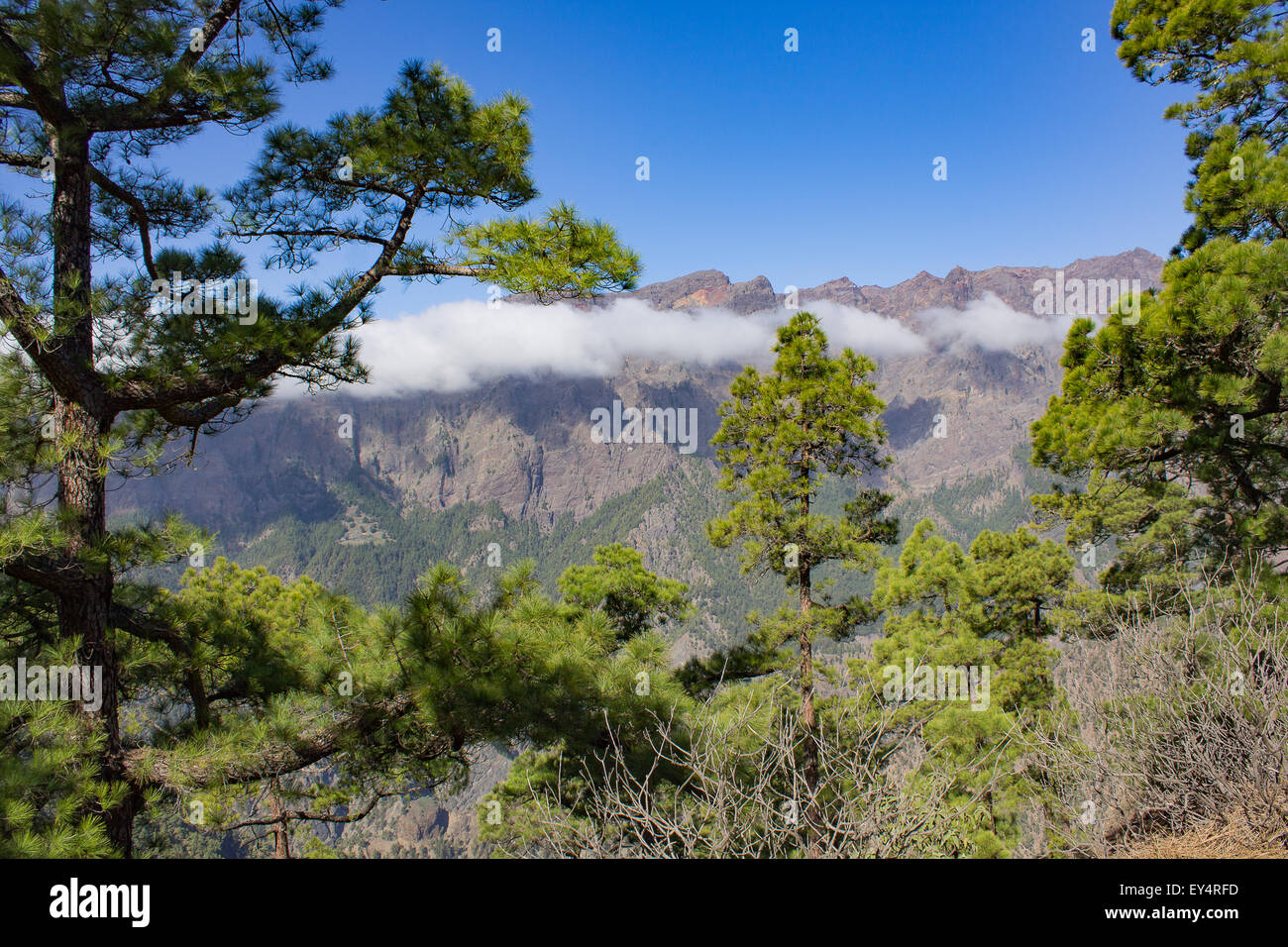 Il Parco Nazionale della Caldera de Taburiente in La Palma, Isole canarie, Spagna. Foto Stock