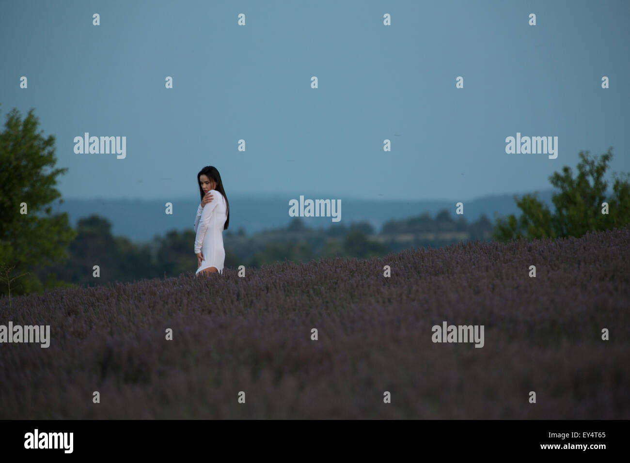 Modello e persone in campo di lavanda in Provenza, Francia Foto Stock