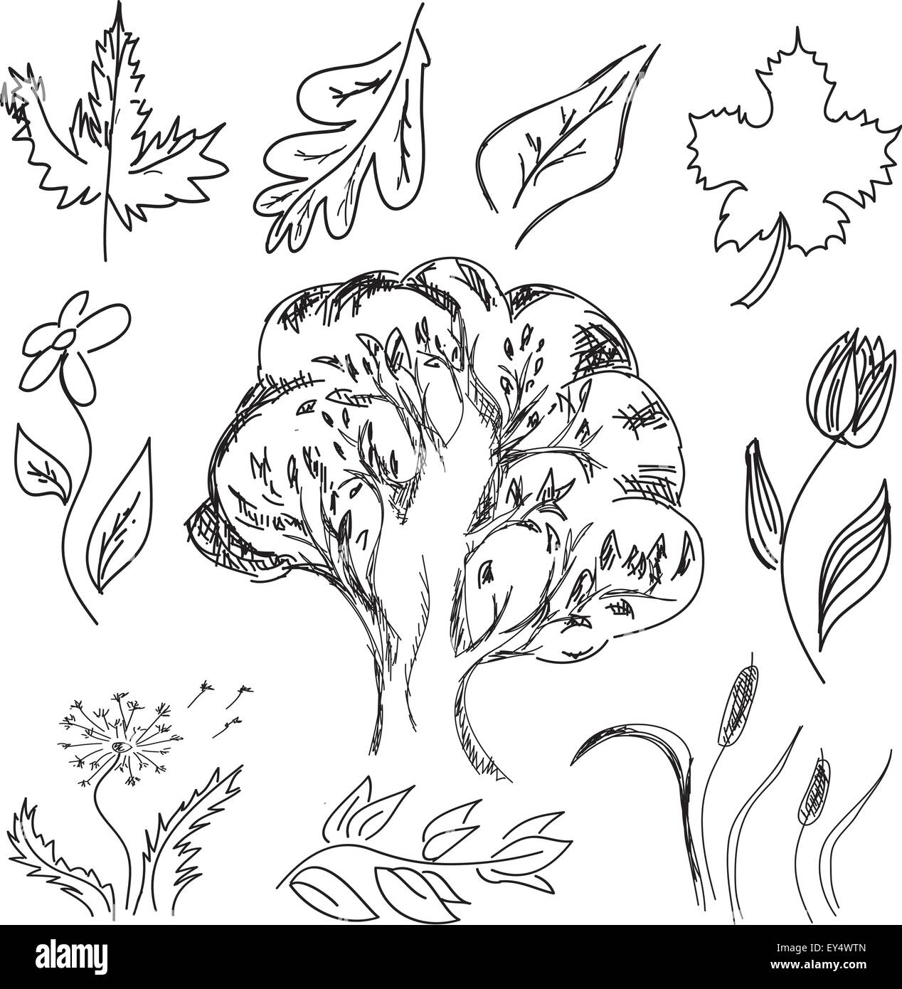 Struttura disegnata e fiori. Illustrazione Vettoriale Illustrazione Vettoriale