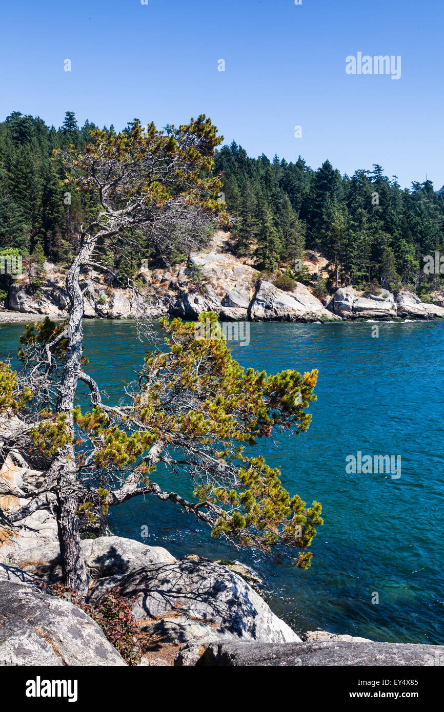 Costa rocciosa del Parco del faro di West Vancouver, Canada Foto Stock