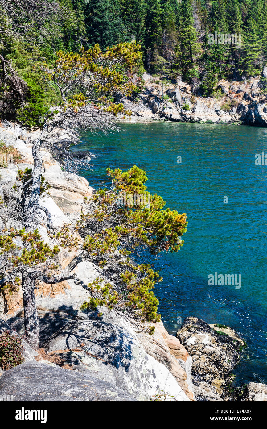 Costa rocciosa del Parco del faro di West Vancouver, Canada Foto Stock