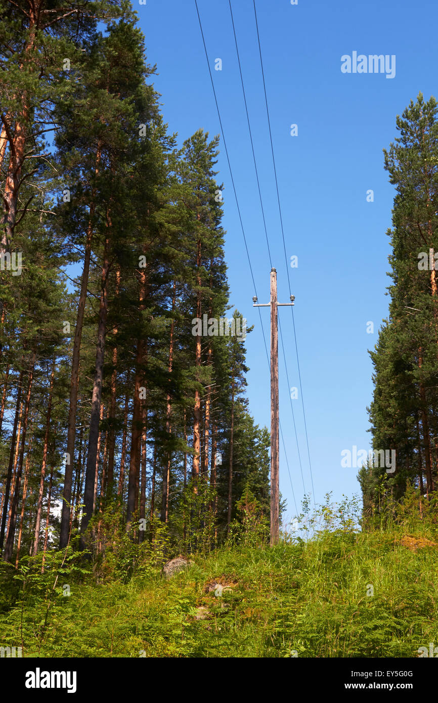 Linea elettrica in foresta, Finlandia Foto Stock