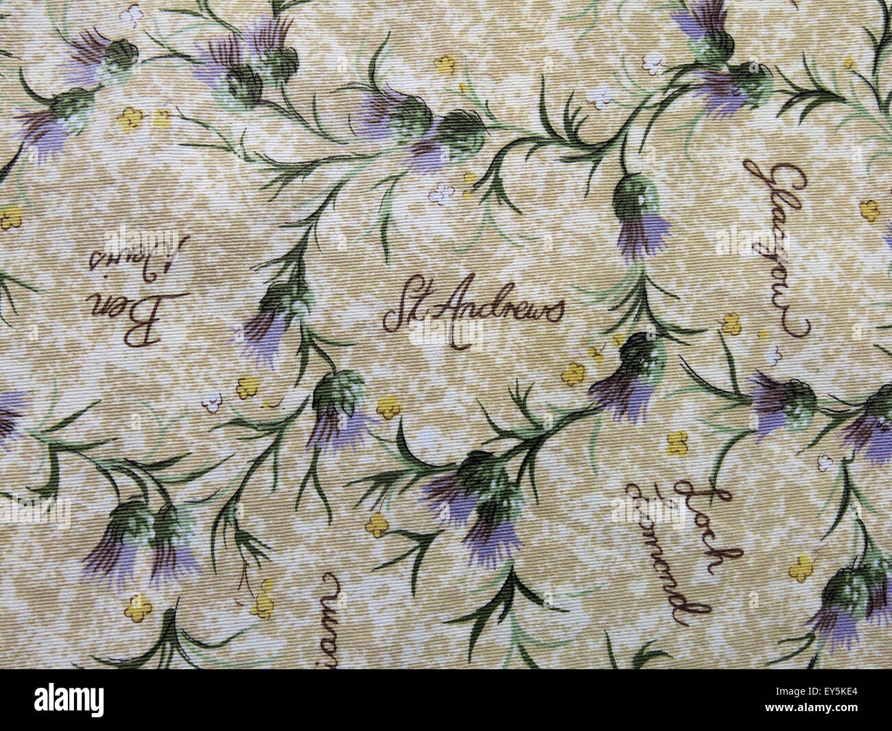 Panno con cardi e città scozzese elencati Foto Stock