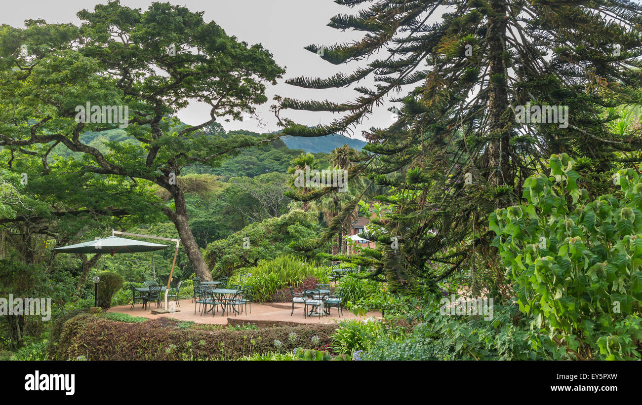 Set di tabelle in un bellissimo giardino con alberi giganti in montagna Foto Stock