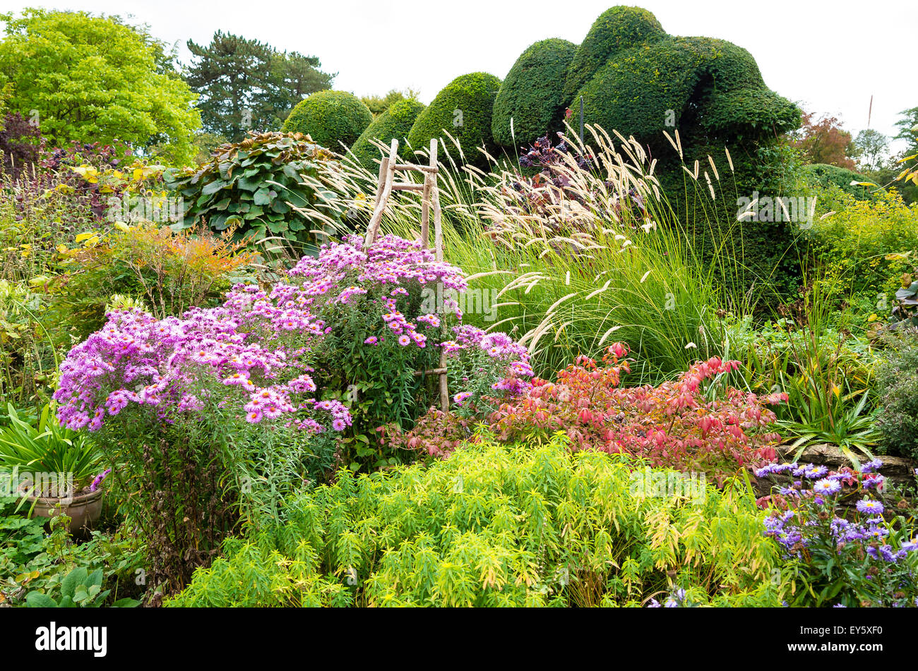 Piante erbacee frontiera presso i tribunali giardino nel mese di settembre Foto Stock