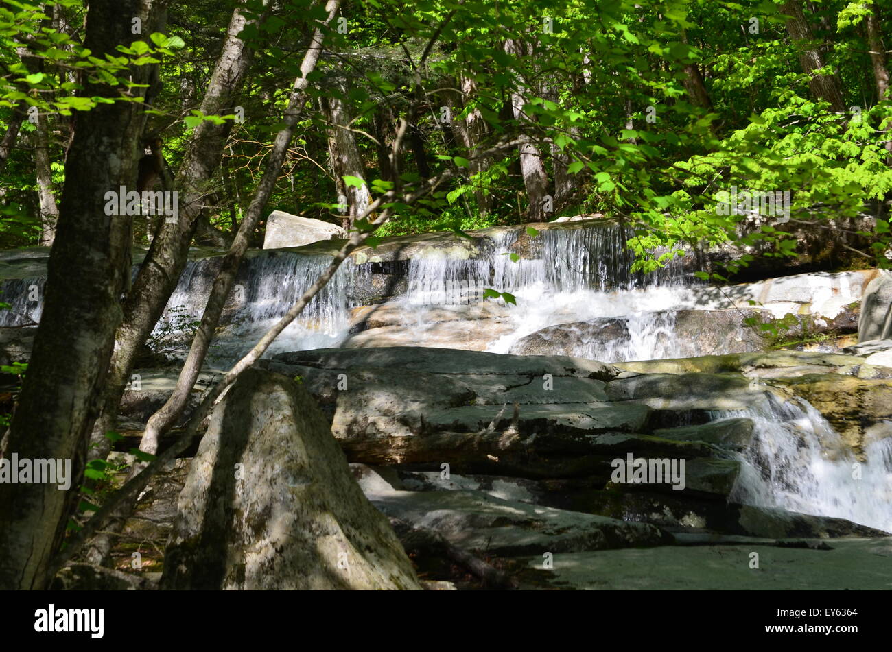 Le cascate di un torrente di montagna Foto Stock