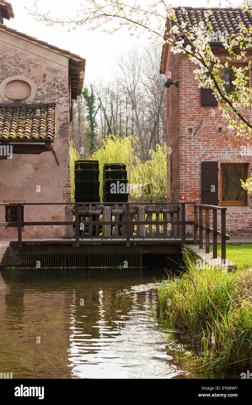 |Veneto Fiume Sile parco naturale, Oasi di Cervara Foto Stock