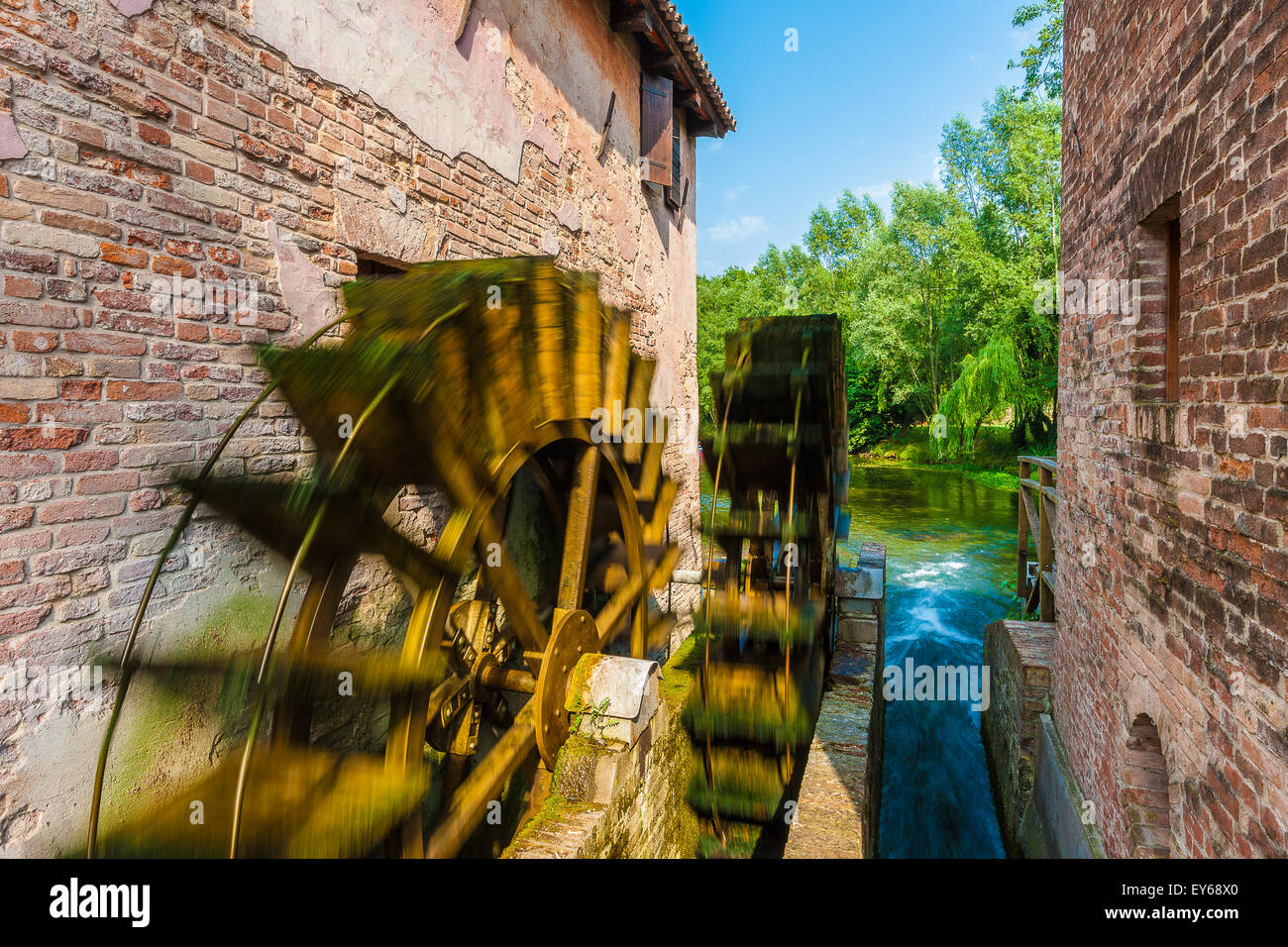 Veneto Fiume Sile Parco Naturale Oasi di Cervara Foto Stock