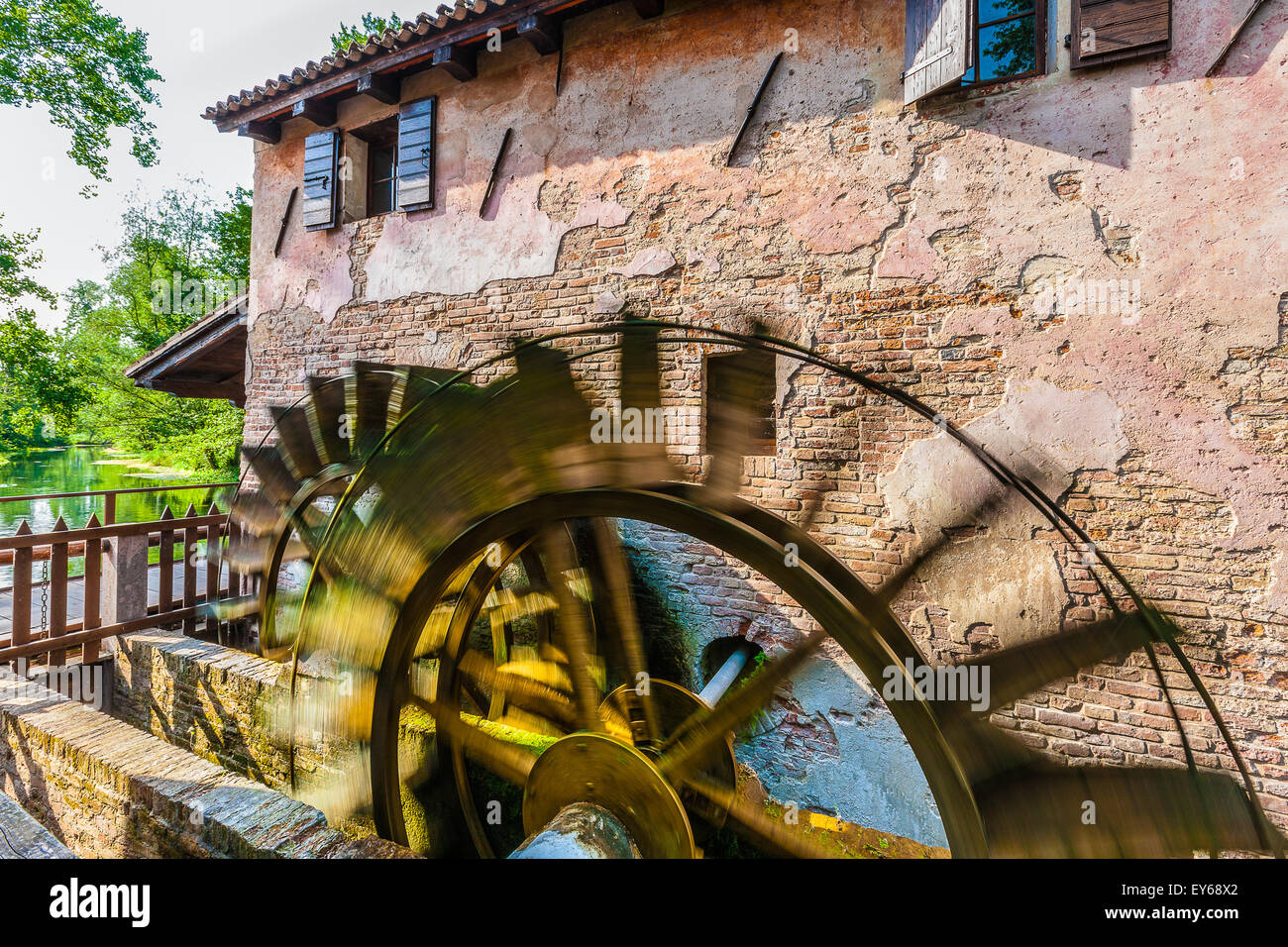 Veneto Fiume Sile Parco Naturale Oasi di Cervara Foto Stock