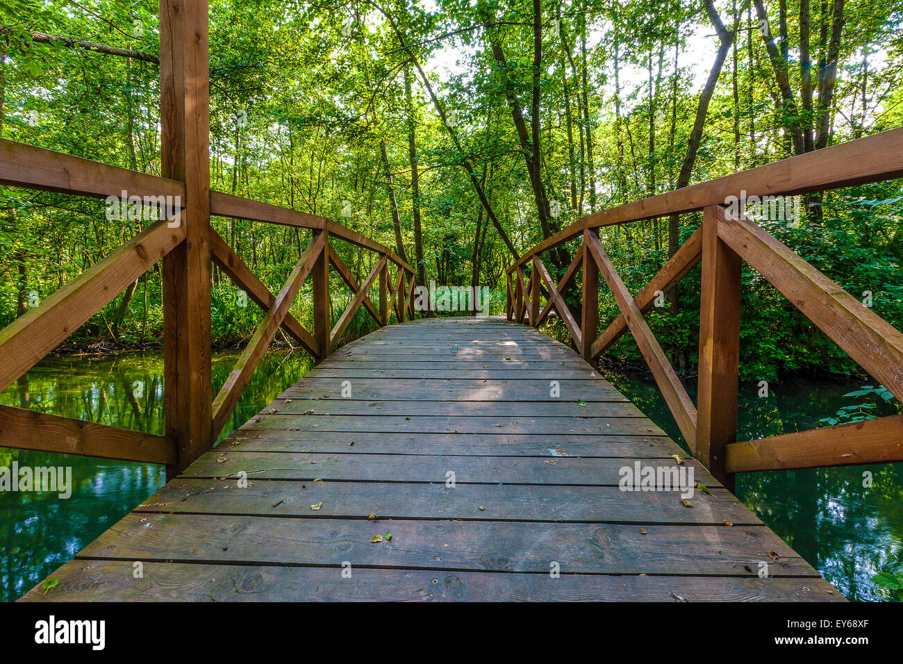 Veneto fiume Sile parco naturale - Oasi di Cervara Foto Stock