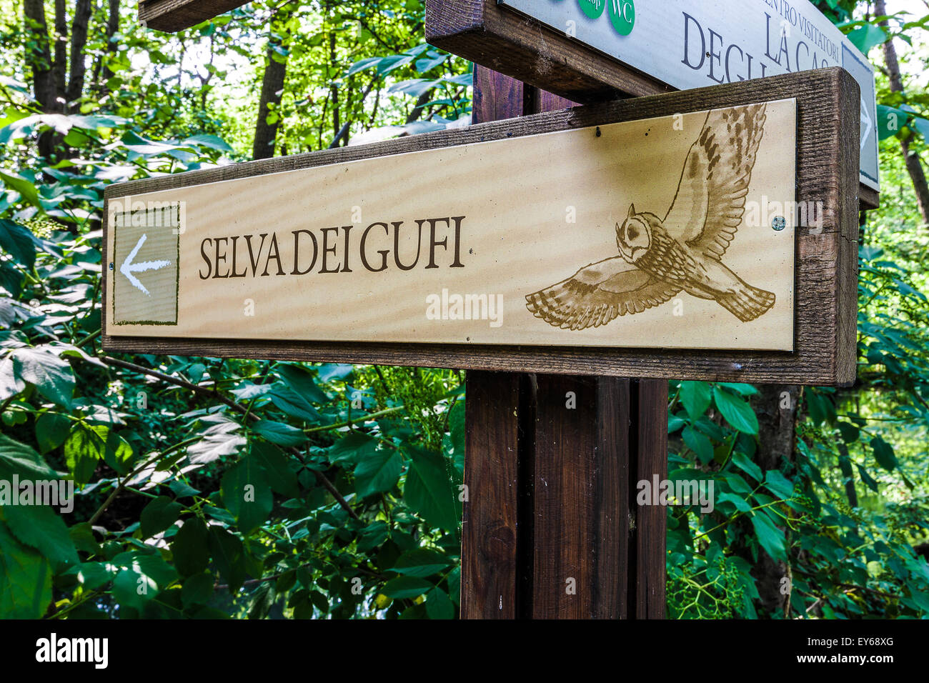 Veneto fiume Sile parco naturale - Oasi di Cervara Foto Stock