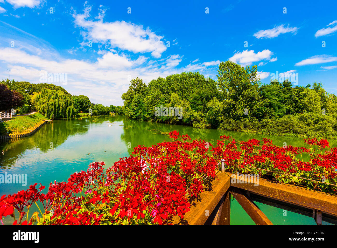 Veneto Fiume Sile parco naturale . Casier Foto Stock