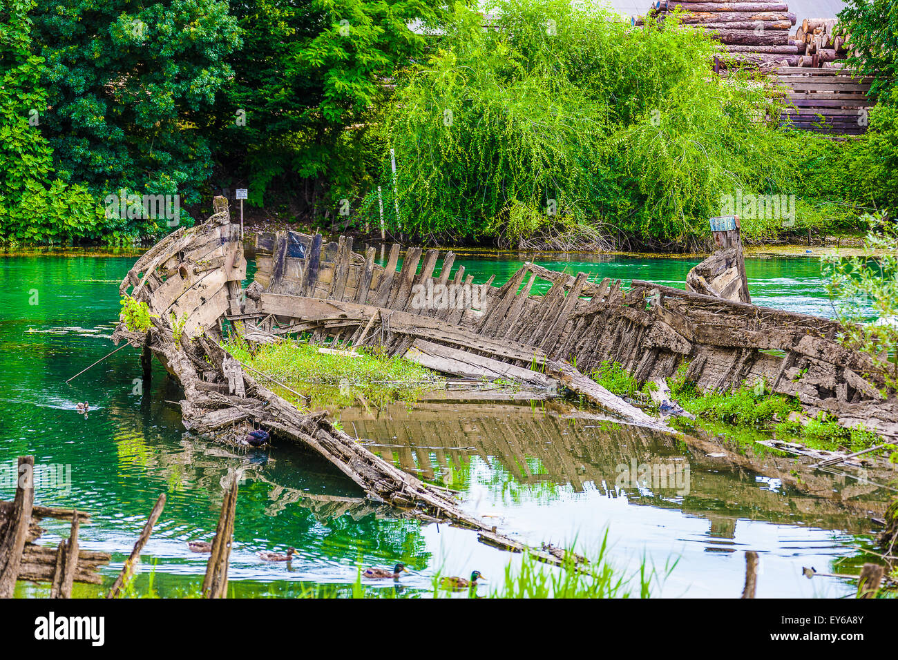 Veneto Parco naturale del fiume Sile - Casier - cimitero dei Burci Foto Stock
