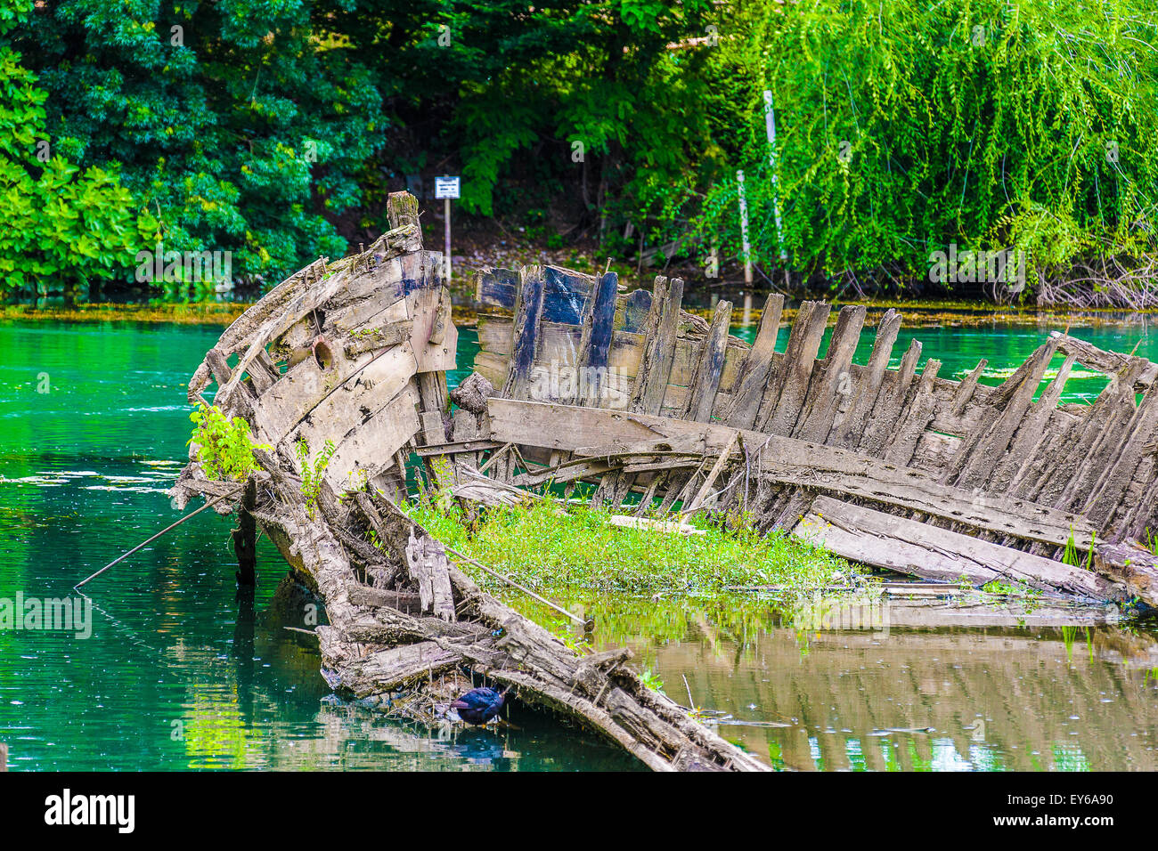 Veneto Parco naturale del fiume Sile - Casier - cimitero dei Burci Foto Stock