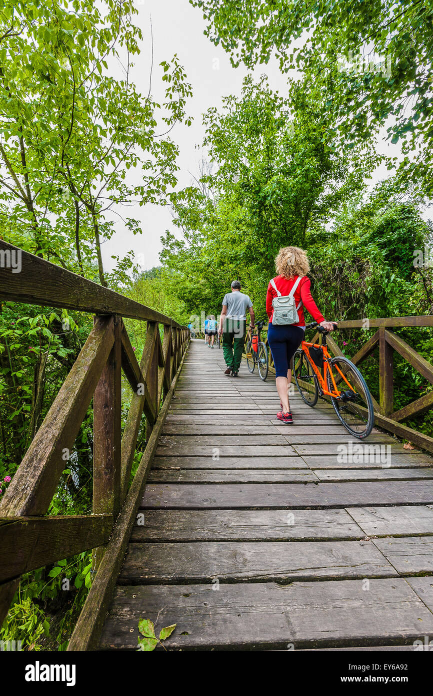 Veneto Parco naturale del fiume Sile - Casier - passerella Foto Stock