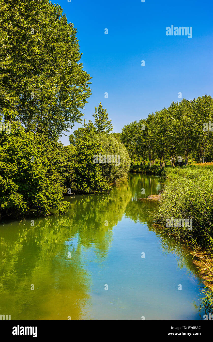 Veneto Fiume Sile parco naturale - Morgano Foto Stock