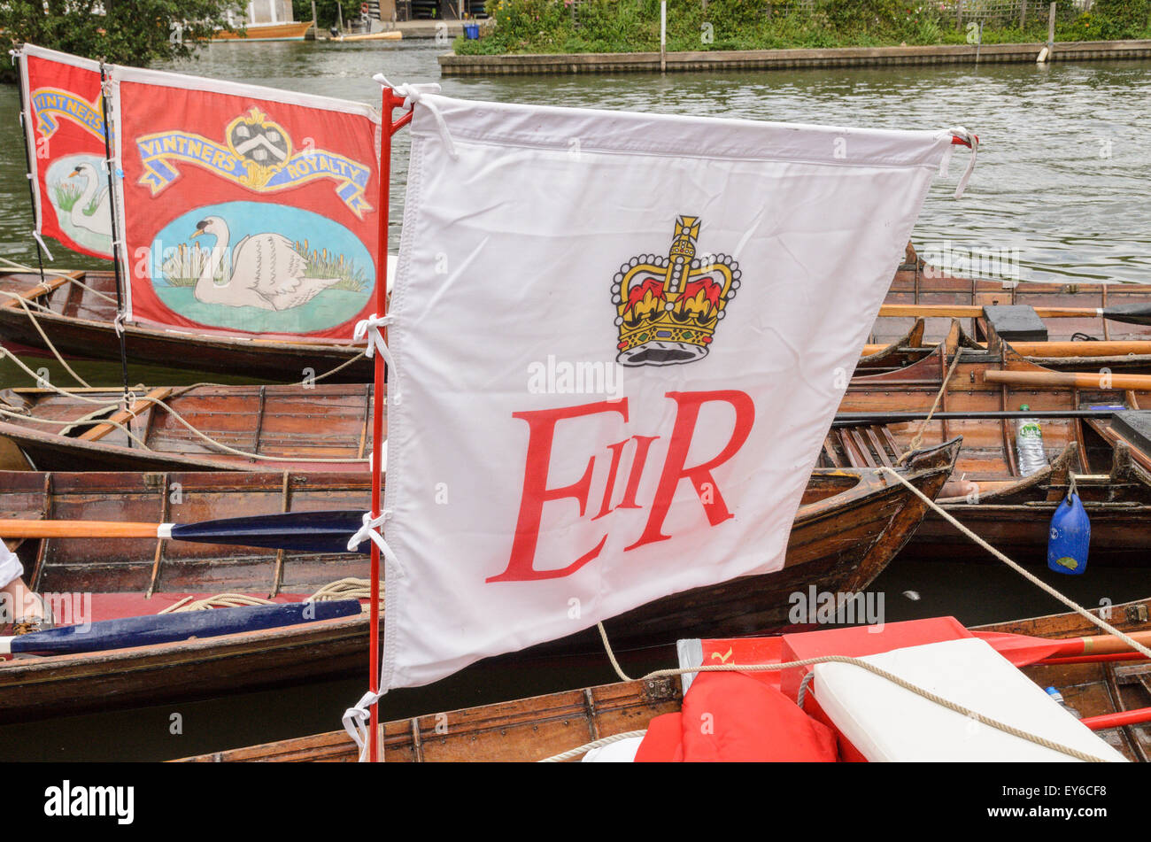 Henley-on-Thames, Oxfordshire RG1ESSERE, Regno Unito 22 Giugno 2015. Il Royal bandiera e la livrea bandiere su Swan batte in volata barche in Henley. Swan batte in volata è il censimento annuale della popolazione di cigno sul Tamigi tra Middlesex e Oxfordshire. Credito: Michael Winters/Alamy Live News Foto Stock